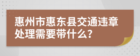 惠州市惠东县交通违章处理需要带什么？