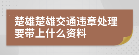 楚雄楚雄交通违章处理要带上什么资料