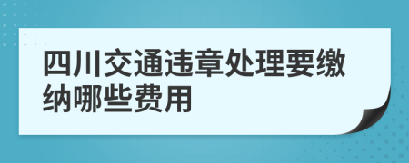 四川交通违章处理要缴纳哪些费用