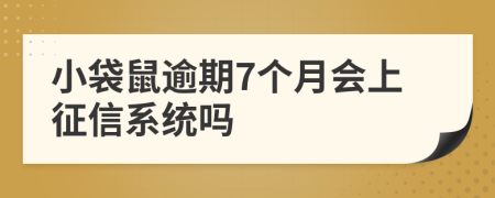 小袋鼠逾期7个月会上征信系统吗