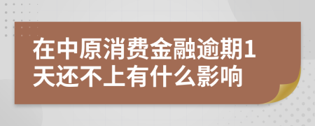 在中原消费金融逾期1天还不上有什么影响