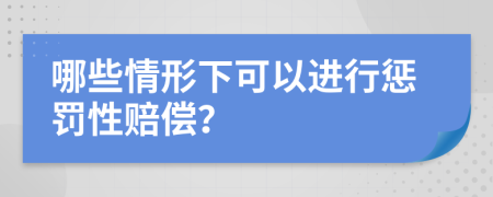 哪些情形下可以进行惩罚性赔偿？