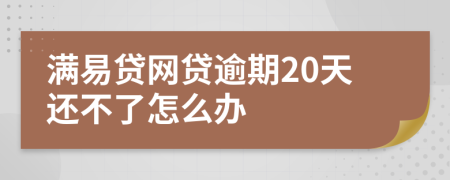 满易贷网贷逾期20天还不了怎么办