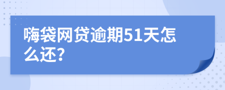 嗨袋网贷逾期51天怎么还？