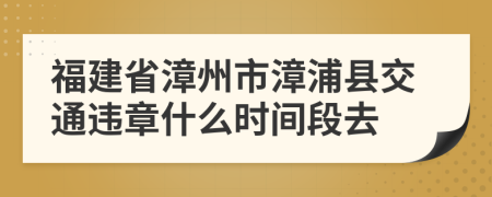 福建省漳州市漳浦县交通违章什么时间段去