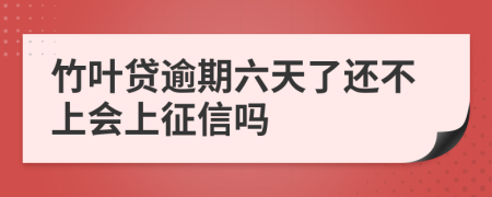 竹叶贷逾期六天了还不上会上征信吗