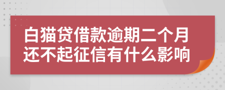 白猫贷借款逾期二个月还不起征信有什么影响