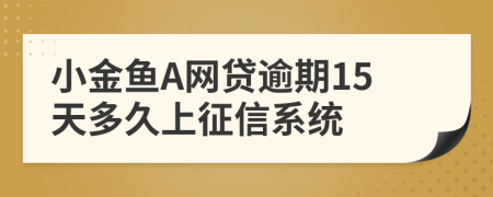 小金鱼A网贷逾期15天多久上征信系统