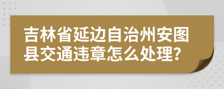 吉林省延边自治州安图县交通违章怎么处理？