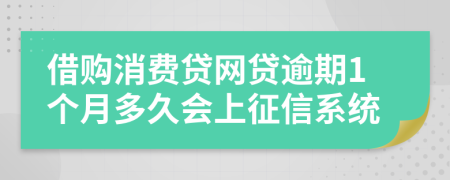 借购消费贷网贷逾期1个月多久会上征信系统