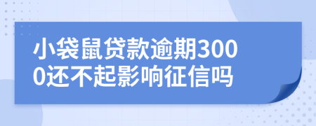 小袋鼠贷款逾期3000还不起影响征信吗