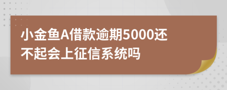 小金鱼A借款逾期5000还不起会上征信系统吗