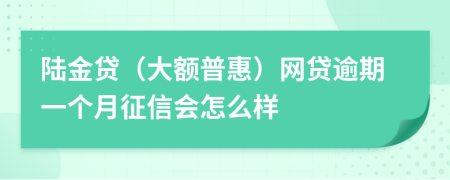 陆金贷（大额普惠）网贷逾期一个月征信会怎么样