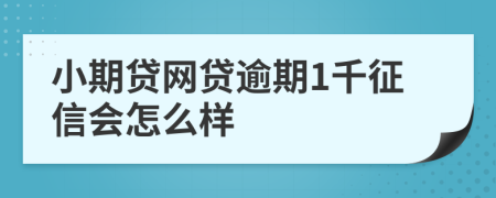 小期贷网贷逾期1千征信会怎么样