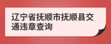 辽宁省抚顺市抚顺县交通违章查询