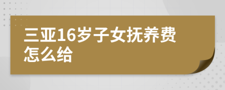 三亚16岁子女抚养费怎么给