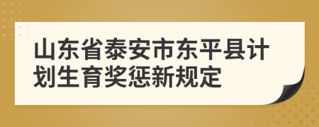 山东省泰安市东平县计划生育奖惩新规定