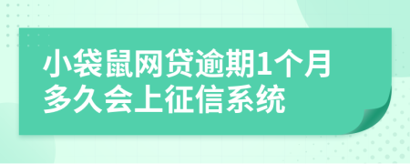 小袋鼠网贷逾期1个月多久会上征信系统