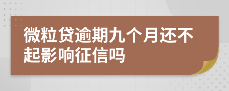 微粒贷逾期九个月还不起影响征信吗