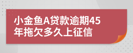 小金鱼A贷款逾期45年拖欠多久上征信