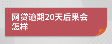 网贷逾期20天后果会怎样