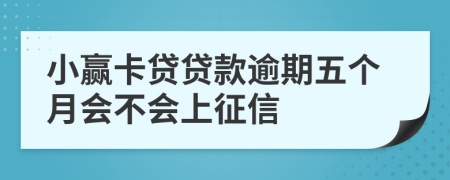 小赢卡贷贷款逾期五个月会不会上征信