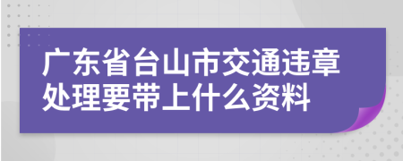 广东省台山市交通违章处理要带上什么资料