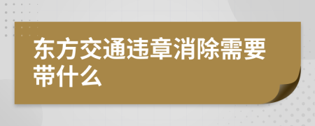 东方交通违章消除需要带什么