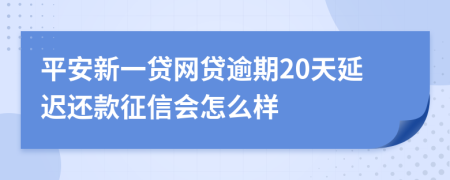 平安新一贷网贷逾期20天延迟还款征信会怎么样