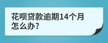 花呗贷款逾期14个月怎么办?