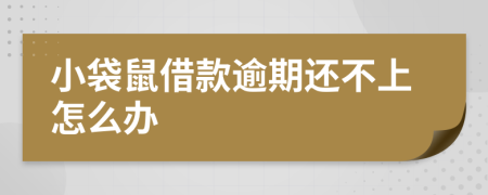 小袋鼠借款逾期还不上怎么办