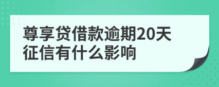 尊享贷借款逾期20天征信有什么影响