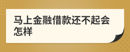 马上金融借款还不起会怎样