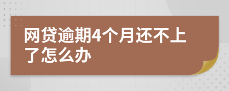 网贷逾期4个月还不上了怎么办