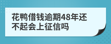 花鸭借钱逾期48年还不起会上征信吗