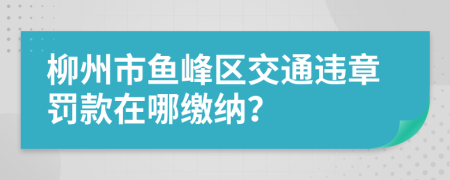 柳州市鱼峰区交通违章罚款在哪缴纳？