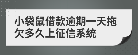 小袋鼠借款逾期一天拖欠多久上征信系统