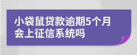 小袋鼠贷款逾期5个月会上征信系统吗