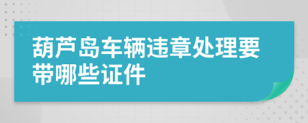 葫芦岛车辆违章处理要带哪些证件