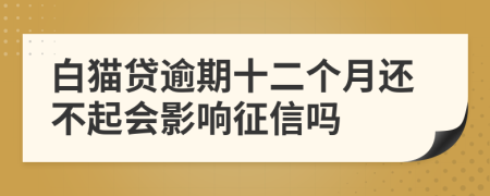 白猫贷逾期十二个月还不起会影响征信吗