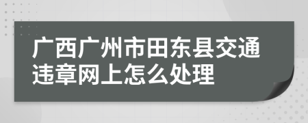 广西广州市田东县交通违章网上怎么处理