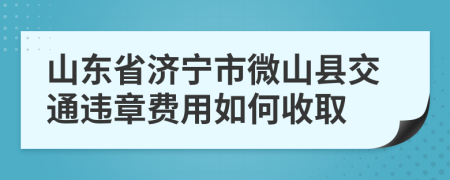 山东省济宁市微山县交通违章费用如何收取