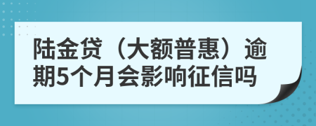 陆金贷（大额普惠）逾期5个月会影响征信吗