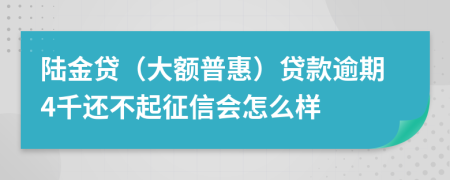 陆金贷（大额普惠）贷款逾期4千还不起征信会怎么样