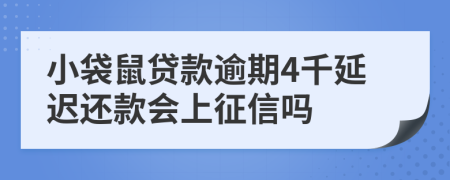 小袋鼠贷款逾期4千延迟还款会上征信吗