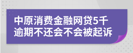 中原消费金融网贷5千逾期不还会不会被起诉