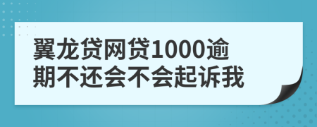 翼龙贷网贷1000逾期不还会不会起诉我