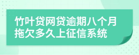 竹叶贷网贷逾期八个月拖欠多久上征信系统