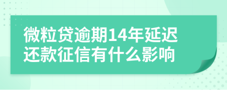 微粒贷逾期14年延迟还款征信有什么影响