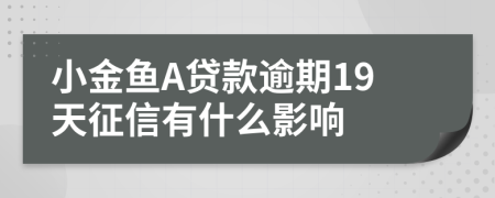 小金鱼A贷款逾期19天征信有什么影响